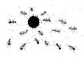 Abstract ink blot with a lot of ants around it. Isolated on white. Hand drawn china ink on paper textures. Inkdrawn collection. Royalty Free Stock Photo