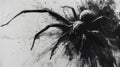 Abstract ink illustration of a spider black and white Royalty Free Stock Photo
