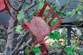 Abstract installation: stool growing out of a tree