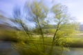 Abstract intentional motion blured photo of trees and vegetation during late summer sunset