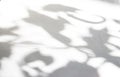 Abstract interesting shadow of the leaves on a white wall background. Royalty Free Stock Photo