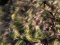 Abstract intimate landscape with underwater stone in river bed