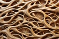 Abstract intricate intertwined wood branches