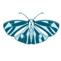 Abstract isolated vector lined illustration design with butterfly in turquoise and blue colors