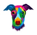 Abstract Jack Russell Terrier head portrait from multicolored paints. Dog muzzle