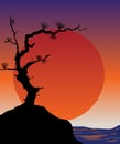 Abstract japanese background - sunset. Royalty Free Stock Photo