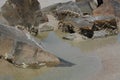 Abstract, Jetty Breakwater on Fernandina Beach, Fort Clinch State Park, Nassau County, Florida USA Royalty Free Stock Photo