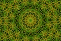 Abstract kaleidoscope pattern background