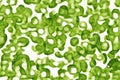 Abstract kiwi background with desconstructed green kiwis