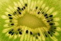 Abstract kiwi detail green background