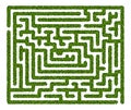 Abstract labyrinth of green hedge on white background Royalty Free Stock Photo