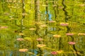 Abstract Lake And Forest Reflections