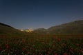 Flowering castelluccio 1 Royalty Free Stock Photo