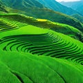 Abstract landscape rice terraces field in agriculture greeny hills or valley art