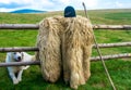 Abstract landscape from a traditional Romanian sheepfold Royalty Free Stock Photo