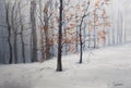 Abstract winter forest landscape