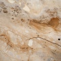 Abstract Landscapes: A Unique Composition Of Brown Marble And Beige Stone Royalty Free Stock Photo