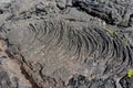 Abstract Lava Patterns of Hawaii\'s Coastline