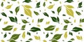Abstract Leaf Seamless Pattern Design. Green Tea Leaves Background Royalty Free Stock Photo