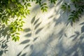 Abstract leaf shadow and light blurred background Royalty Free Stock Photo