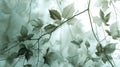 Green leaves background with soft focus and bokeh, nature background