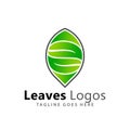 Abstract Leaves Logos Design Vector Illustration Template