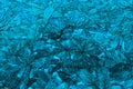 Abstract leaves textured background in aquamarine Royalty Free Stock Photo