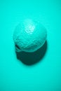 Abstract Lemon Fruit Painted in Pastel Blue on Blue Background. Minimal Art Food Background