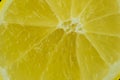 Abstract lemon macro for background. Macro photo