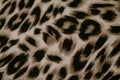 Abstract leopard print fabric background