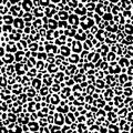 Abstract leopard print.