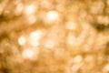 Abstract light bokeh background,circular facula. Royalty Free Stock Photo