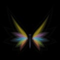 Abstract light effect, butterfly form on black background. Royalty Free Stock Photo