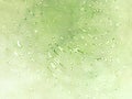 Abstract light green waves background.Distortion effect. Royalty Free Stock Photo