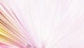 Abstract Light Pink Burst Background Image