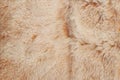 Abstract light red and brown shaggy fluffy fur textured background Royalty Free Stock Photo