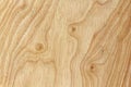 Abstract light wood panel texture background Royalty Free Stock Photo