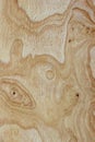 Abstract light wood panel texture background Royalty Free Stock Photo