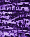 Abstract lilac watercolor on paper texture as background Royalty Free Stock Photo