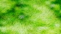 Abstract Lime Green Texture Background Graphic Royalty Free Stock Photo