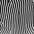 1824 Abstract Line Patterns: A creative and expressive background featuring abstract line patterns with intricate lines, shapes,