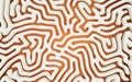 Abstract lines and curve lines, 3d rendering Royalty Free Stock Photo