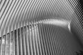 Abstract lines of Oculus WTC