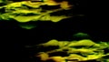 Abstract lines are reflected in water on black background. Animation. Abstract animation of geometric lines moving on