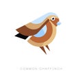 Abstract logo design of common chaffinch. Geometric flat vector icon. Small passerine bird. Colorful graphic element for Royalty Free Stock Photo