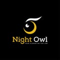 Abstract logo owl nigh vector