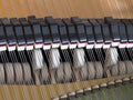 Snares mutes and hammers inside a grand piano