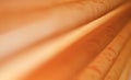 Abstract look of soft orange folded damask fabric