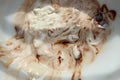 Abstract looking melted ice cream and chocolate syrup background.