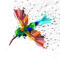 Abstract of Low poly hummingbird with point connecting network,animal geometric concept,vector.